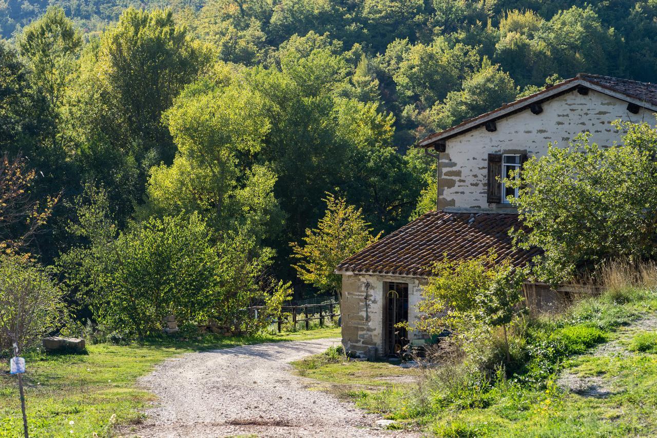 Отель Agriturismo L'Oca Blu Губбио Экстерьер фото